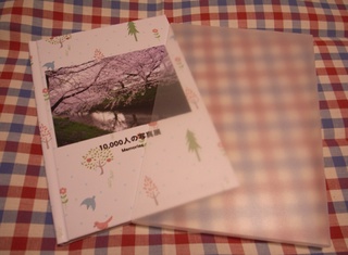 R0012846-2.jpg