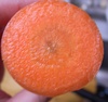 R00117652 R00117652